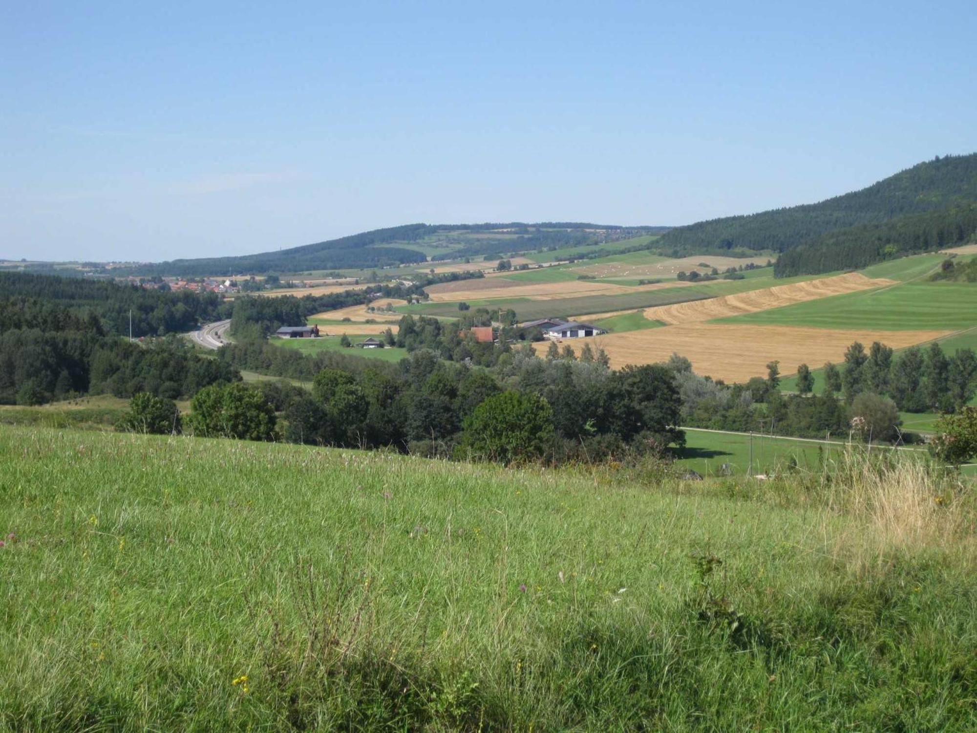 Appartement Haus Rehblick à Bräunlingen Extérieur photo